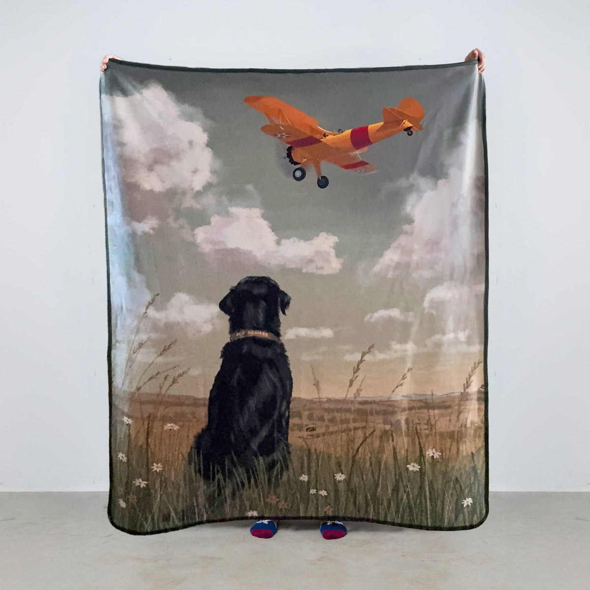 Dog watching a vintage Stearman biplane flying overhead above open rural fields, capturing a nostalgic aviation moment with countryside scenery and classic aircraft in motion.