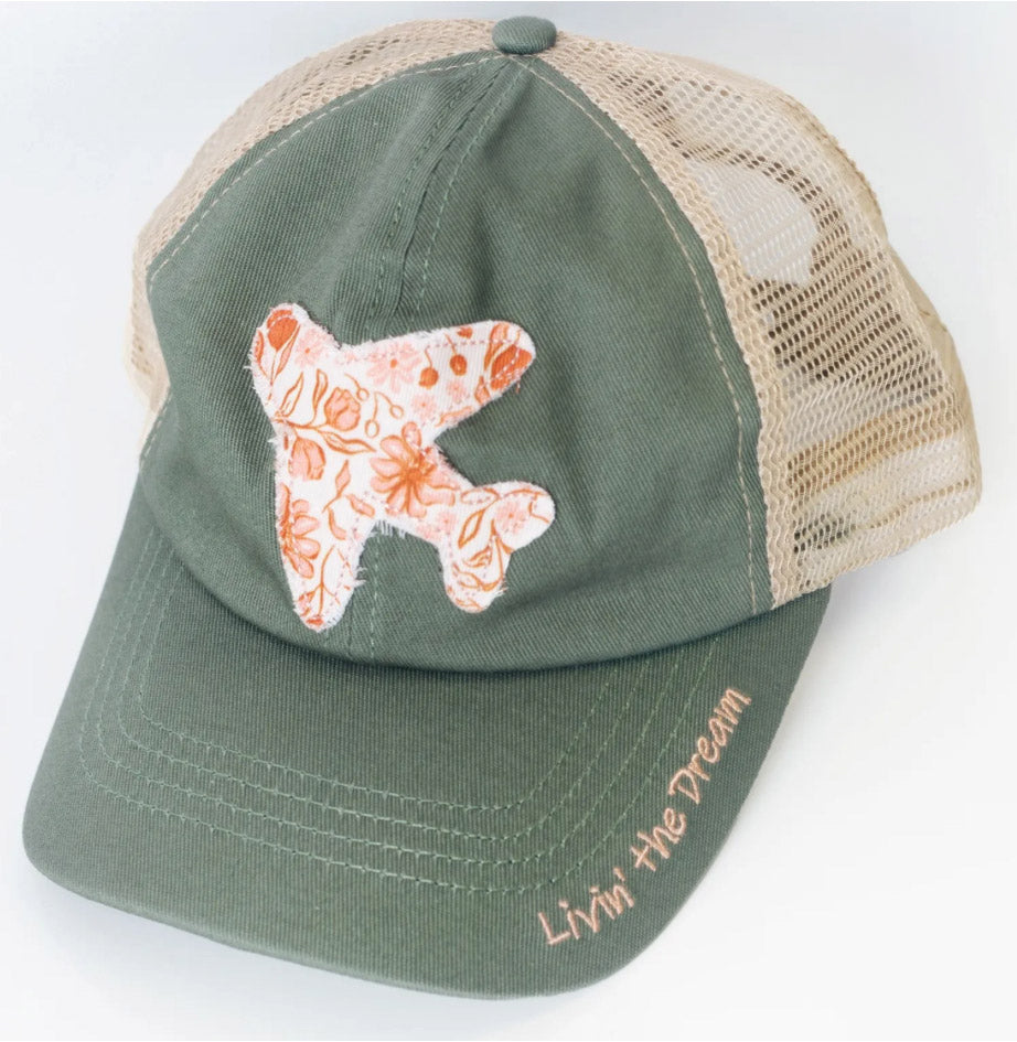 applique airplane ball cap